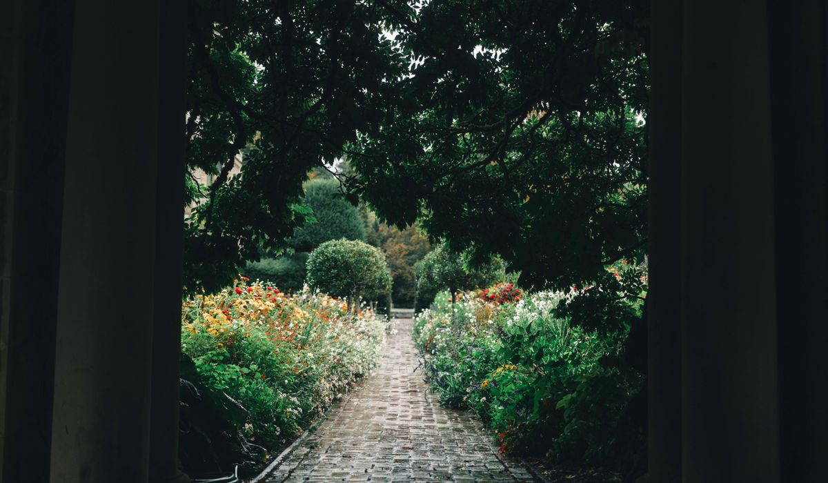 blog single post